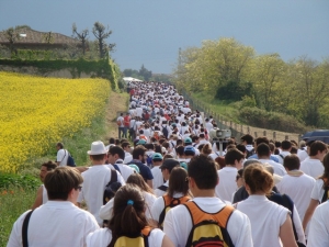 Forum MGS Loreto 2012